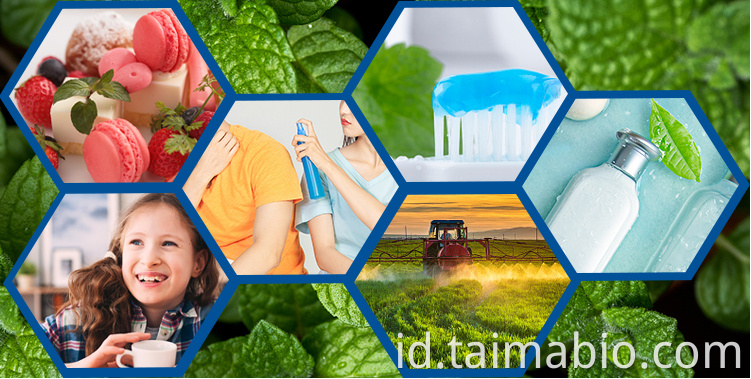 China memproduksi shampo agen pendingin super konsentrat membuat kristal mentol